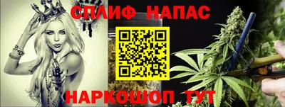 крисы Севастополь