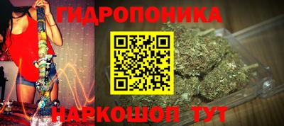 крисы Севастополь